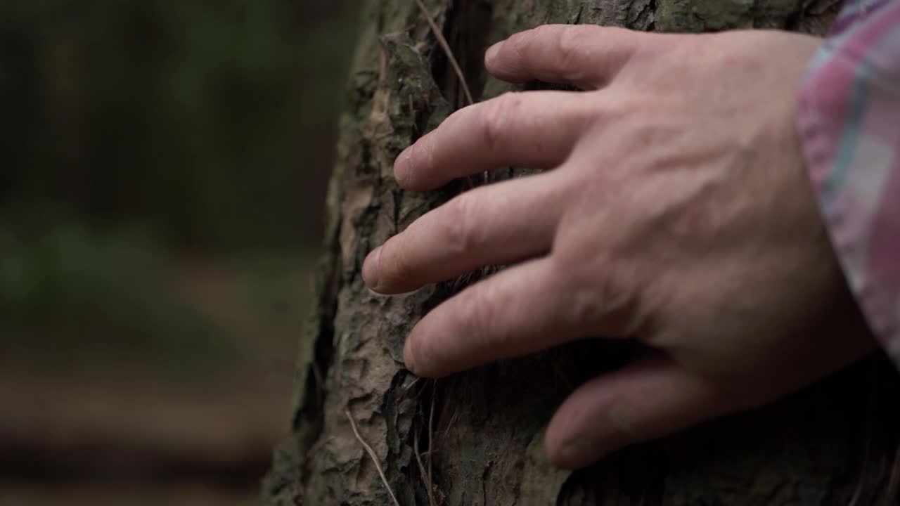 포리스트의 나무에 손을 얹은 여자 클로즈업 샷 패닝 샷