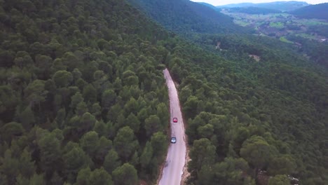 Drone-shot-of-cars-passing-below-the-camera,-while-landing,-speeding-through-a-forest-of-pine-trees-during-blue-hour-in-Greece