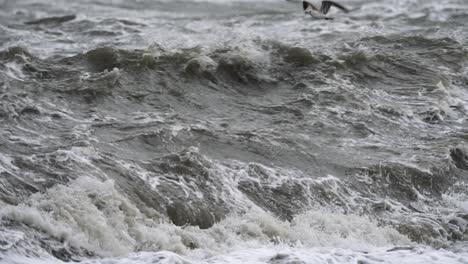 seagulls evading massive sea wave during stormy weather, slow motion view