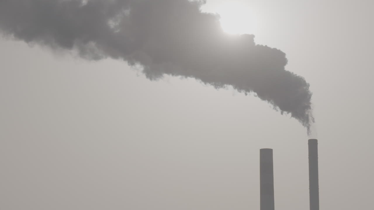 배경 로그를 통해 빛나는 태양과 함께 공중에 올라가는 굴 ⁇ 에서 산업 연기의 느린 촬영