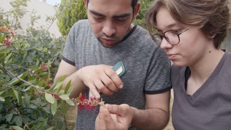 young girl and man examines flowers