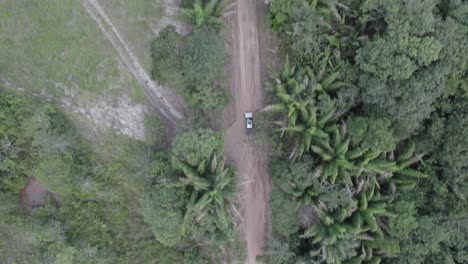 Topdown-Eines-Autos,-Das-Auf-Einer-Abgelegenen-Straße-Mit-Dichtem-Regenwald-In-Kolumbien-Fährt