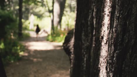sliding movement in the nature to be used as transition