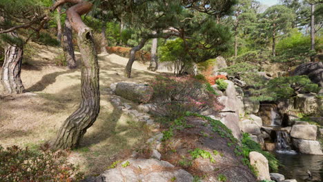 trees and small waterfall at the hwadamsup arboretum in gyeonggi-do, south korea