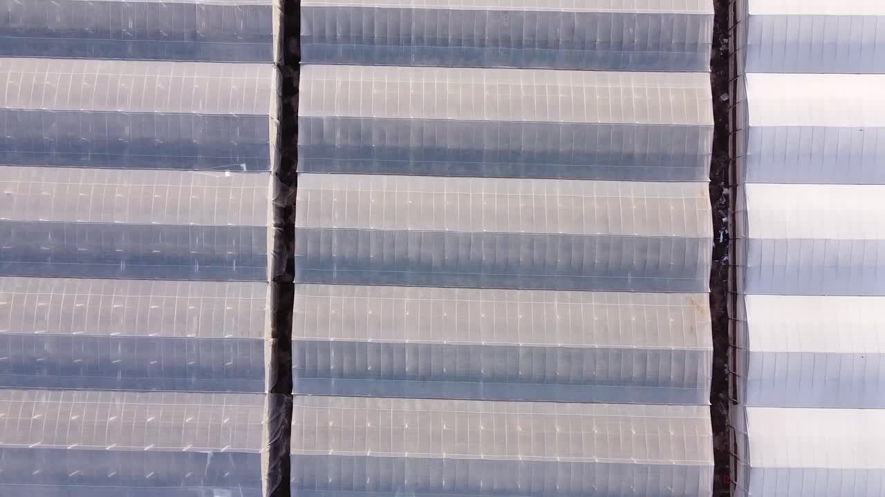 시칠리아의 온실 농장, 제니스