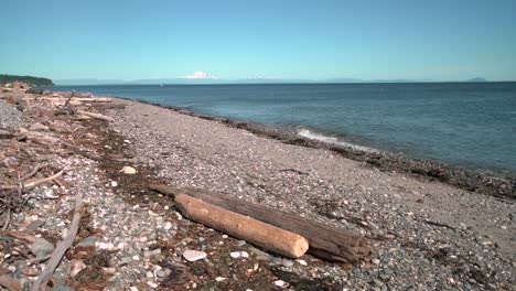 point roberts shore. 4k uhd