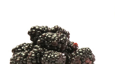 cluster of blackberries