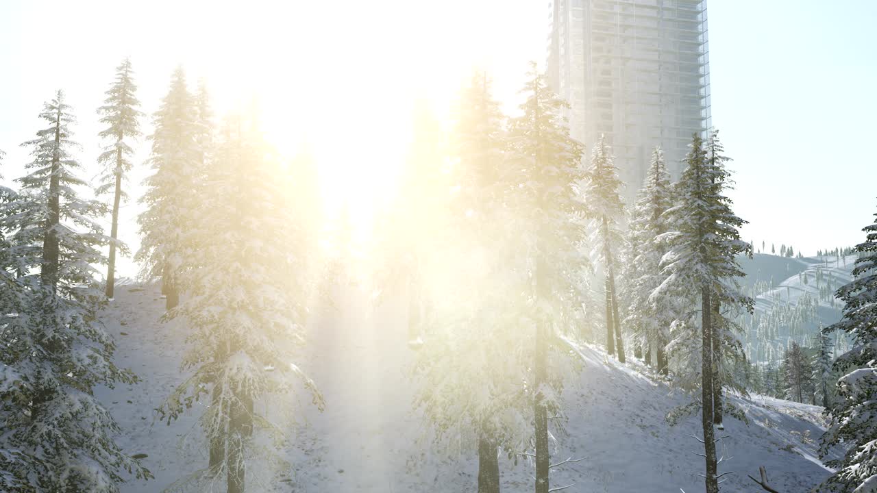 눈 속에 있는 도시와 숲