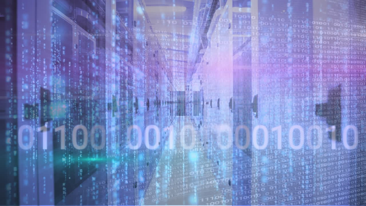 컴퓨터 서버를 통해 바이너리 코딩과 데이터 처리의 애니메이션