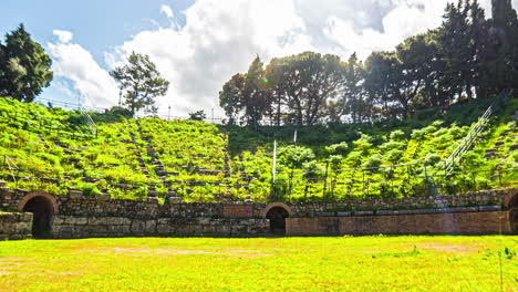 overgrown roman amphitheater, sunny timelapse in ancient ruin, tindari greek theatre, sicily