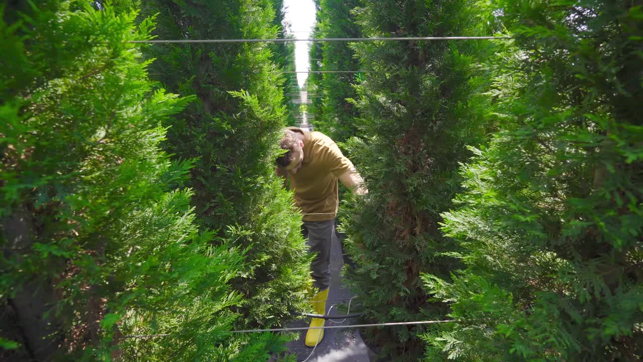 농업 현장에서 씨 ⁇ 을 재배하는 것.