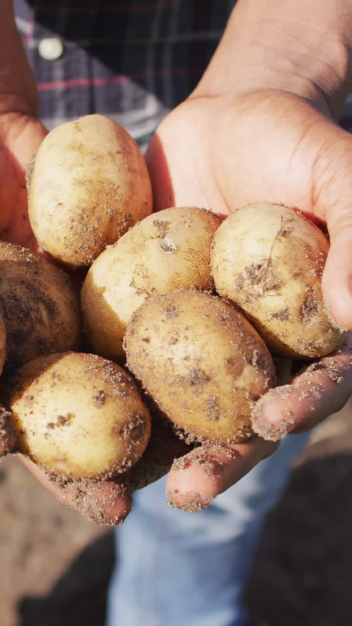 video de las manos de un hombre afroamericano sosteniendo patatas