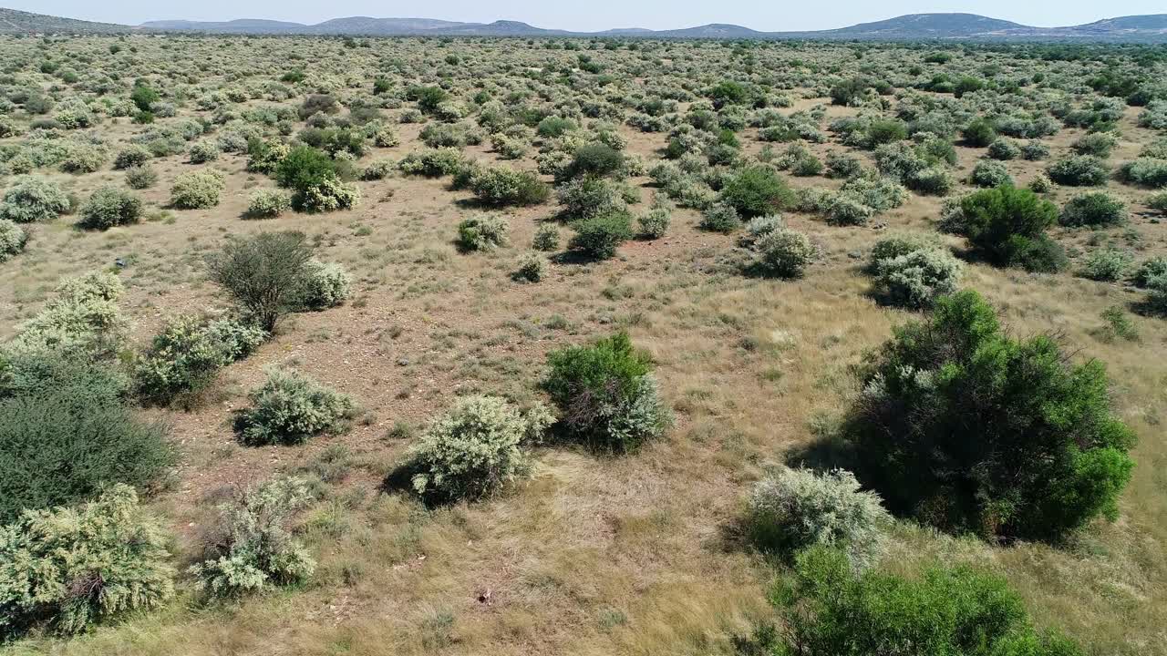 vista aérea de la sabana africana con árboles y hierbas esparcidos, áfrica meridional