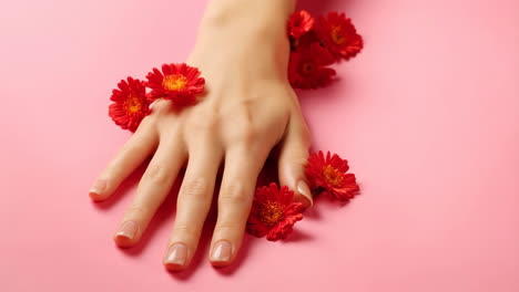 close-up of a hand adorned with red flowers on a pink background