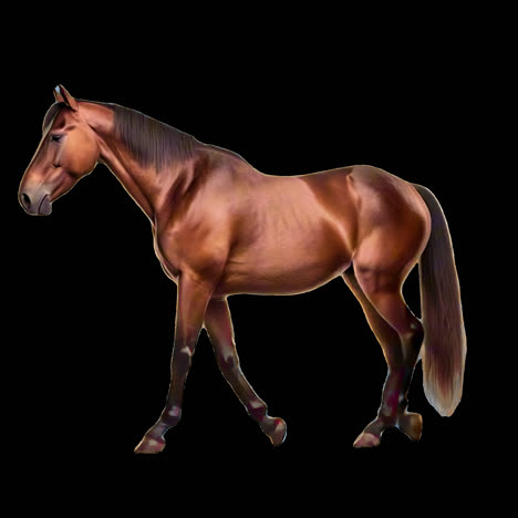elegant brown horse illustration animation isolated asset, transparent 4k video, alpha channel