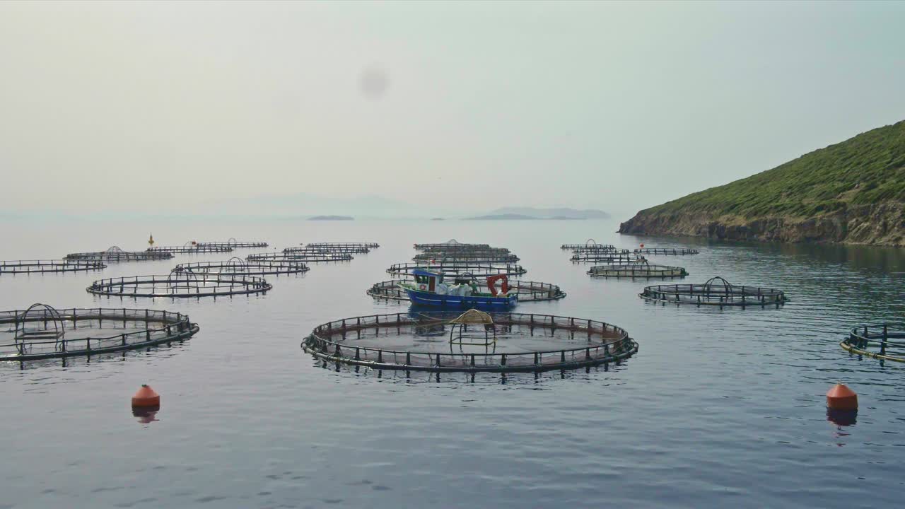 바다 한가운데에 있는 산업용 고기 농장에서 배가 물고기를 먹이고 수확합니다.
