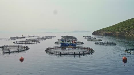 at a caged industrial fish farm in the middle of the sea, a boat feeds and harvests fish.