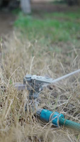 garden sprinkler watering dry grass