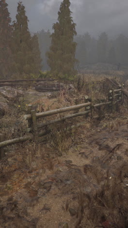 misty forest path with old wooden fence