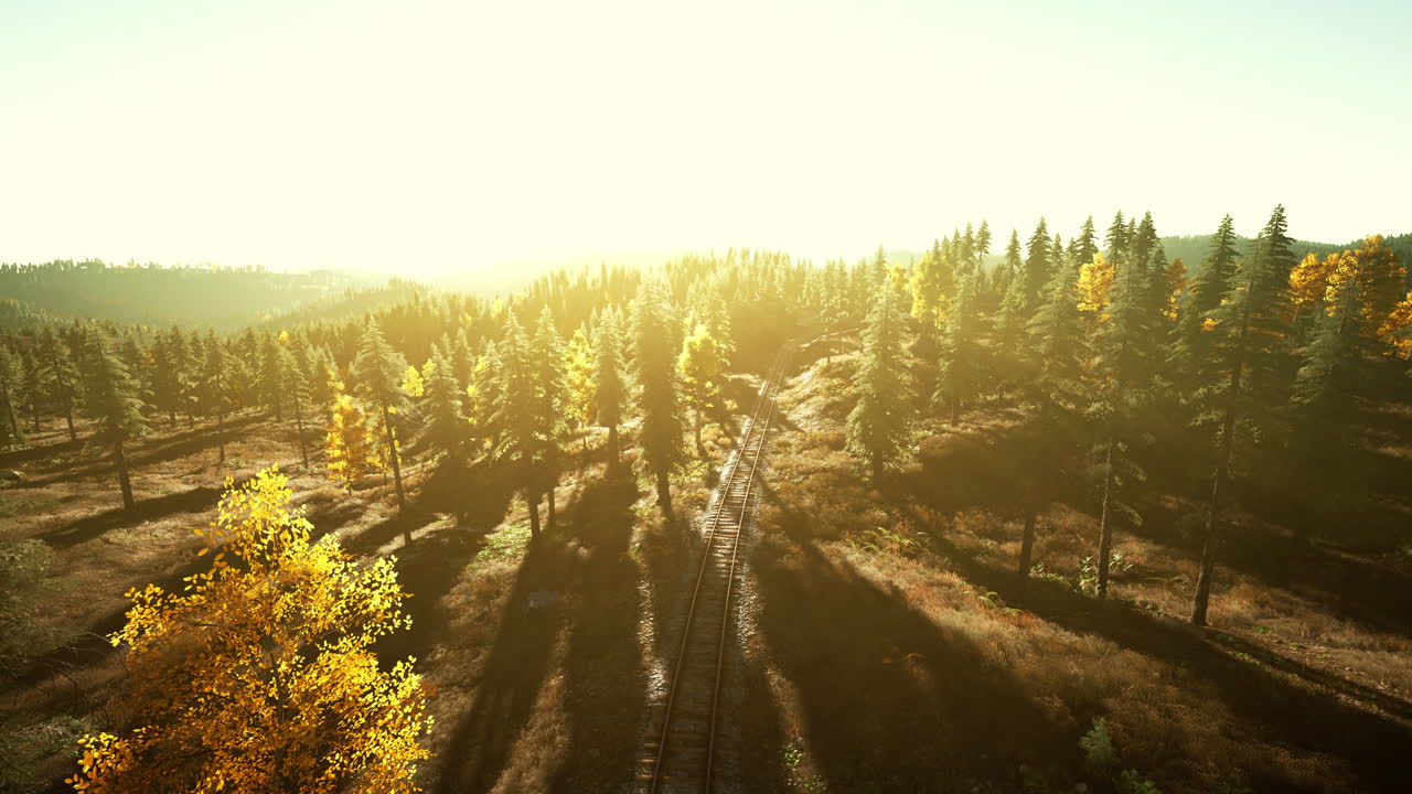 bosque de otoño iluminado por el sol con vías ferroviarias