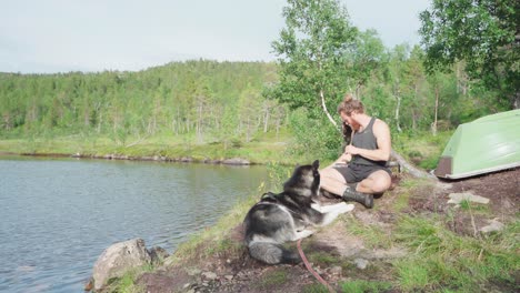 hiker and alaskan malamute resting by the lake of anderdalen national park in senja island, norway