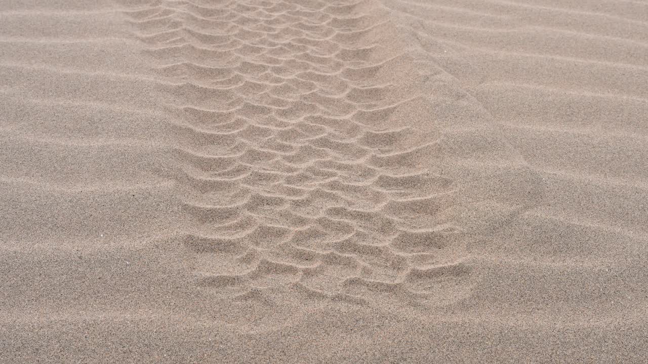 A close-up of a vehicle's tire track imprinted on the wind-rippled sand of a Mongolian dune. The shot highlights the contrast between a man-made pattern and natural textures