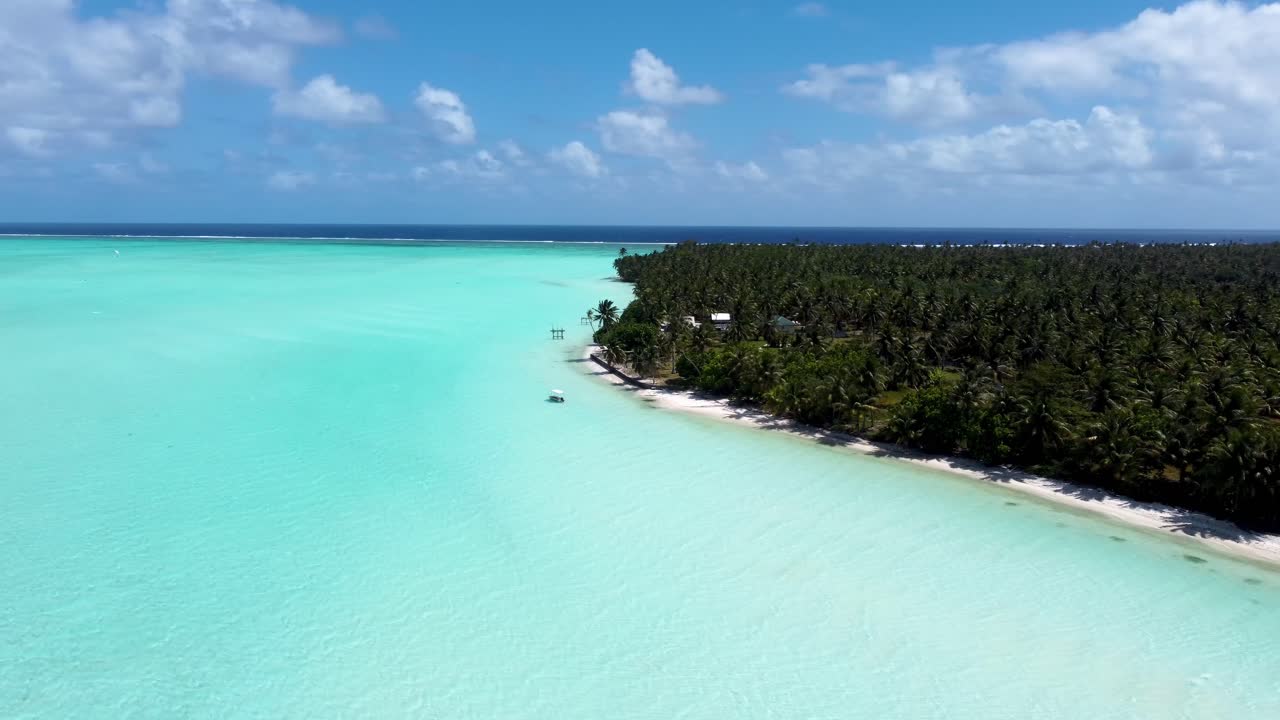 Drone view of a white sand beach with shallow water and palm trees in a green tropical pacific island in Maupiti, French Polynesia.