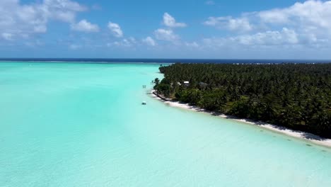 drone view of a white sand beach with shallow water and palm trees in a green tropical pacific island in maupiti, french polynesia.