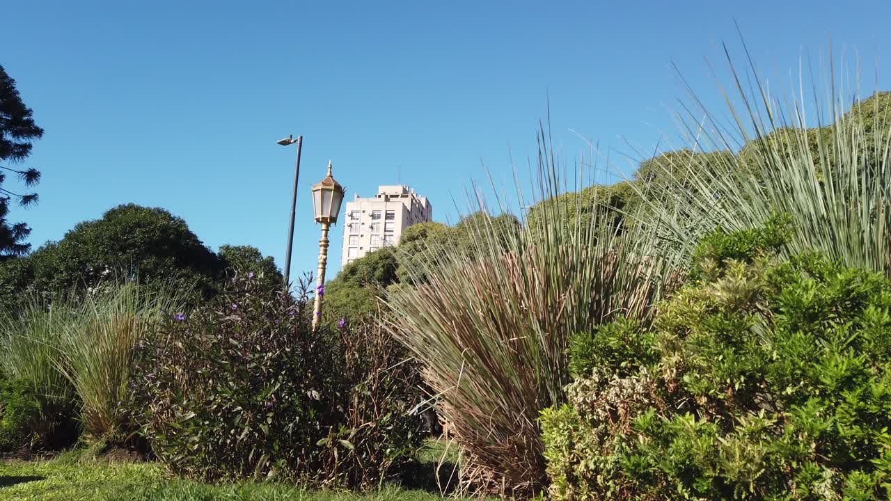 Urban green landscape, blue sky, buildings and classic street lamp in city of Buenos Aires, Argentina