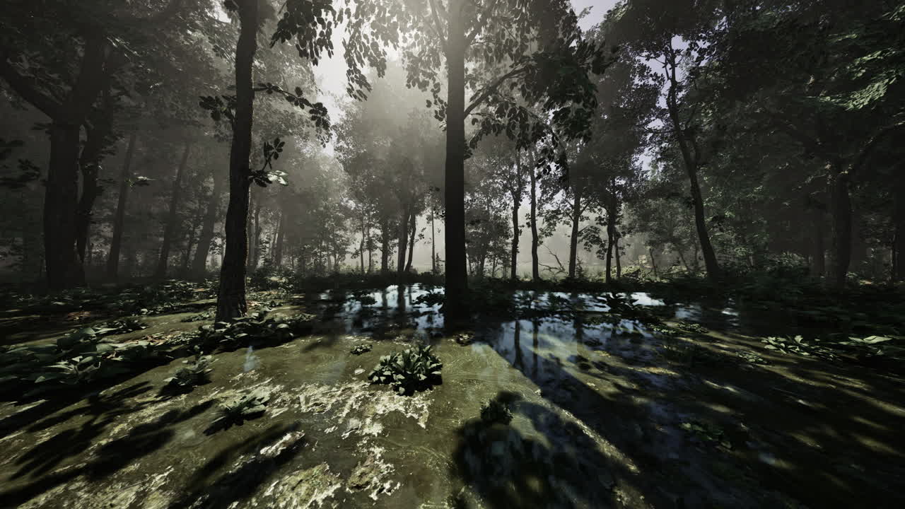 paisaje forestal brumoso con rayos de sol filtrándose a través de árboles altos