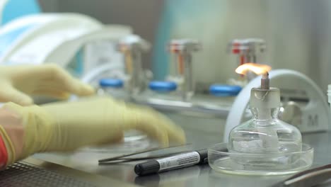 científico químico mano haciendo investigación de laboratorio. pruebas de laboratorio con fuego de vela
