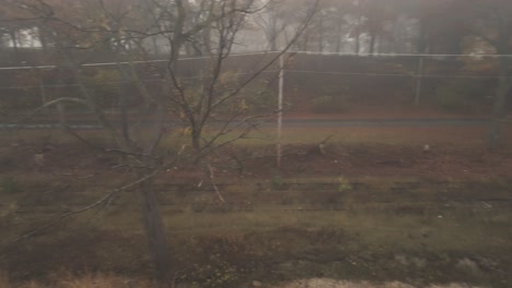 Un-Ferrocarril-Oxidado-En-Una-Zona-De-Niebla-Frente-A-La-Orilla-Del-Lago