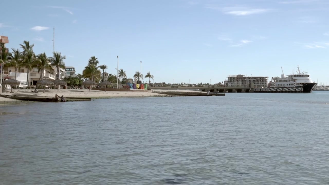Marina costiera sul lungomare con traghetto passeggeri, acqua oceanica calma e costa fiancheggiata da palme con un'atmosfera da destinazione di viaggio panoramica