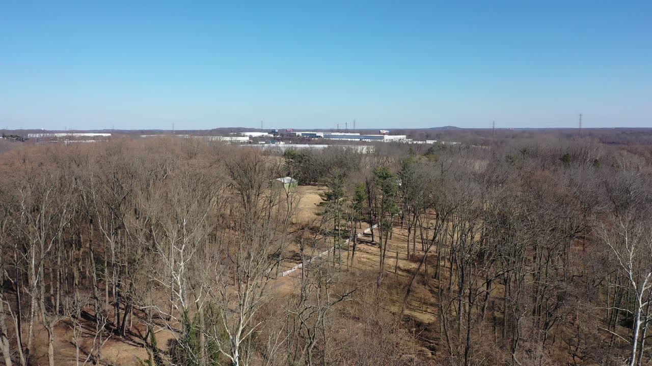 un tiro de ángulo alto sobre árboles secos y estériles en un día claro y soleado