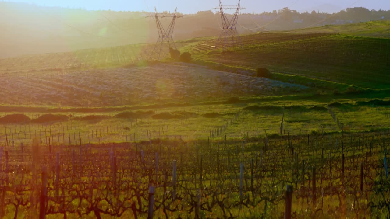 postes eléctricos en las tierras de cultivo 4k 4k
