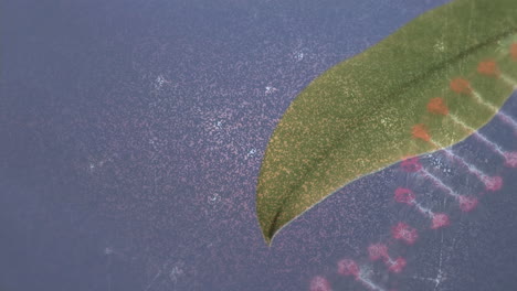 animación de la estructura del adn y la red de conexiones en un primer plano de la hoja contra un fondo azul