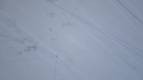animación de la red de conexiones con las estadísticas