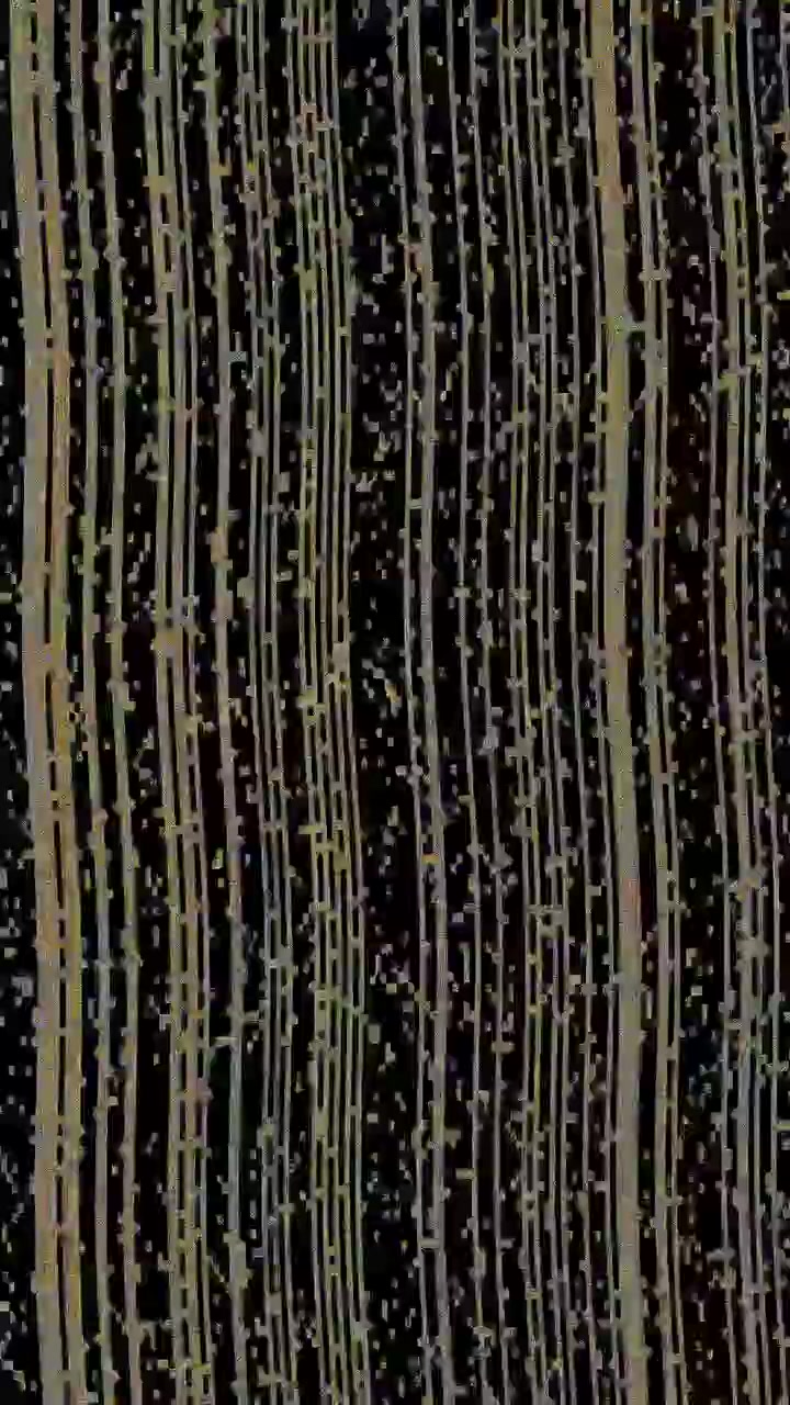 Sfondo Astratto di Linee Dorate Verticali e Particelle su Sfondo Nero