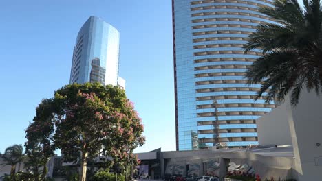 4k still video: marriott hotel twin towers behind trees blowing in september wind, pure blue sky - 2023