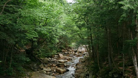 Ein-Schöner-Felsiger-Strom-Läuft-Durch-Einen-Dichten-Wald,-Während-Die-Kamera-Langsam-Kippt