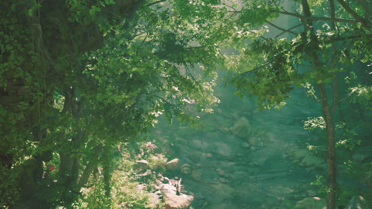 빛이 비치는 숲길