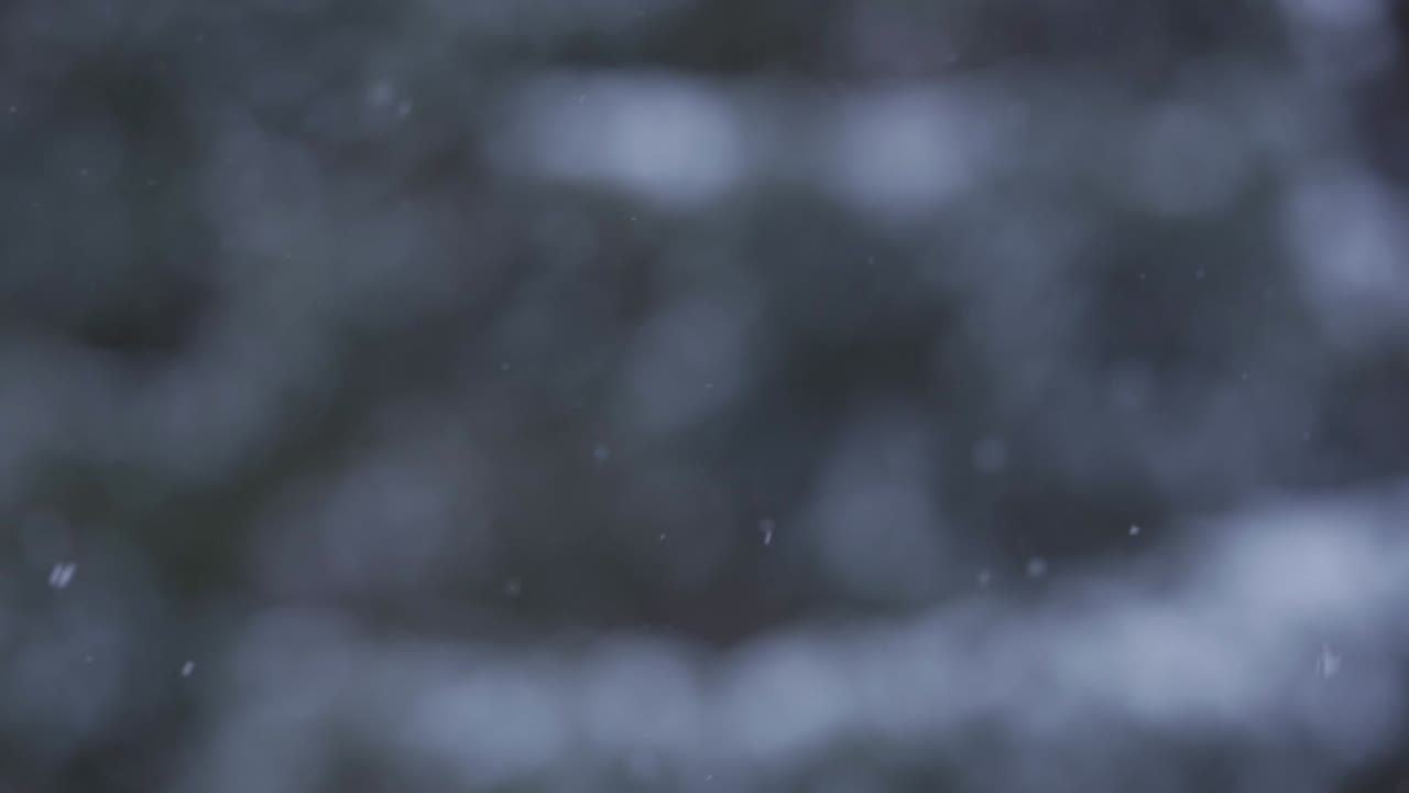 copos de nieve cayendo en cámara lenta durante una tormenta de nieve invernal