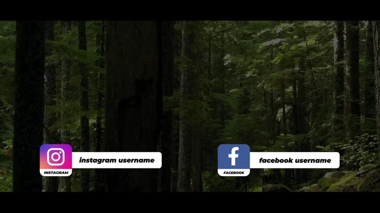 Social Media Lower Thirds is pack icons and lower thirds