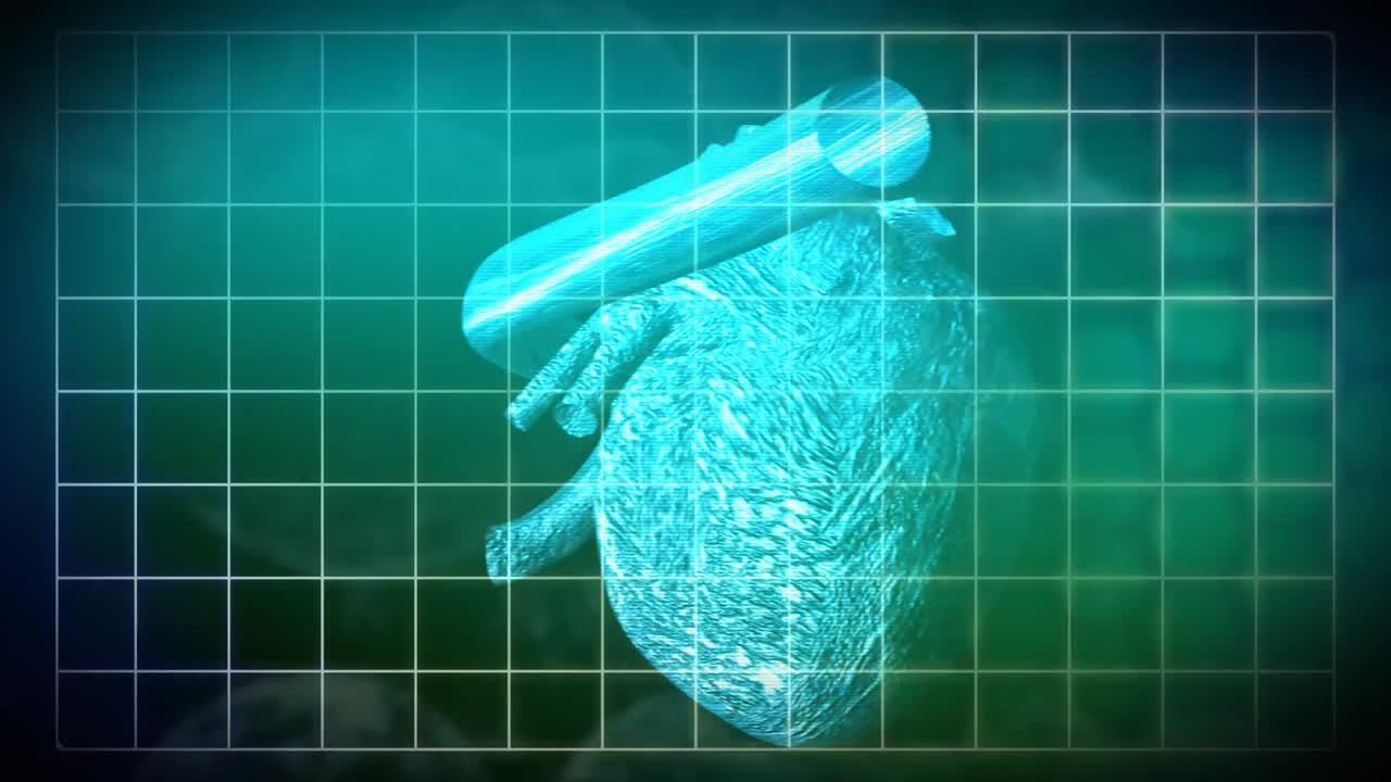 심장 박동 애니메이션