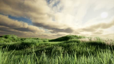 storm clouds above meadow with green grass