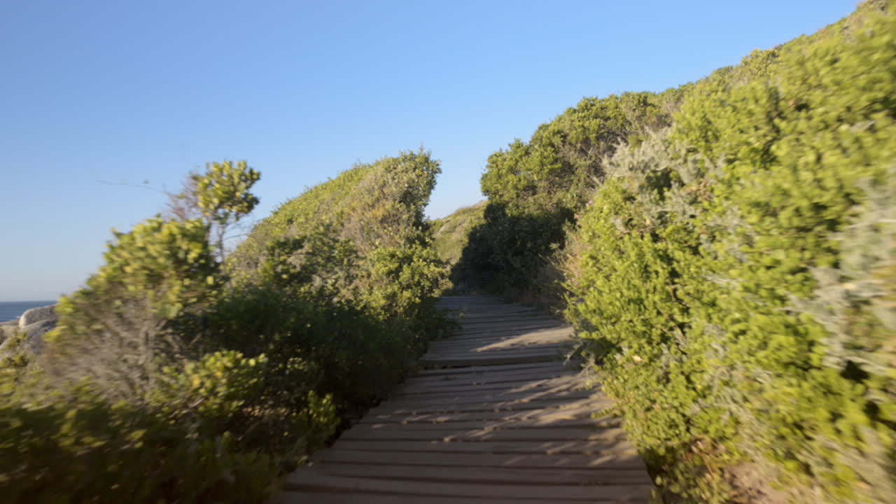 sendero de playa bahía de arena paseo costero