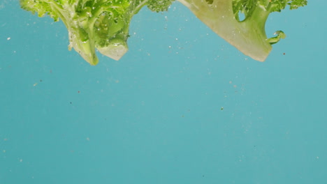 broccoli splash