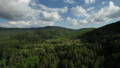 climatized forest environment, green mountain terrain drone view, cloudy mountain range outdoors, nature landscape, crisis climate forestry