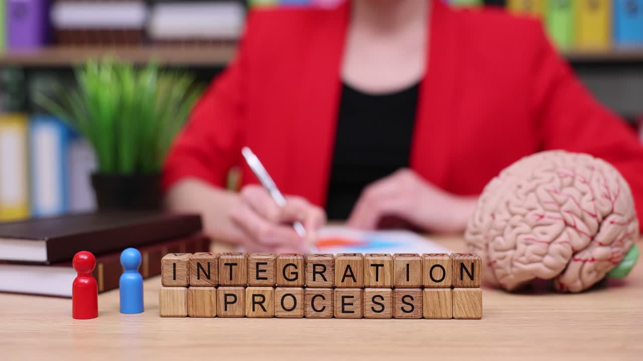 Integration Process and Strategic Planning