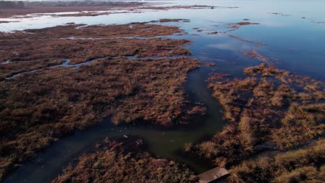 Antenne,-Die-Bei-Sonnenuntergang-über-Die-Vegetation-An-Der-Küste-Von-Arcachon-Fliegt-Und-Den-Horizont-Enthüllt